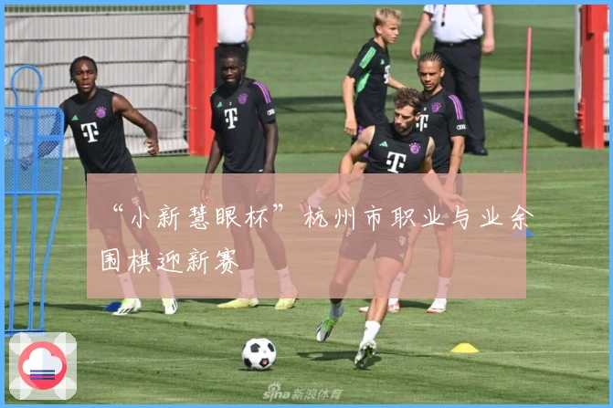 “小新慧眼杯”杭州市职业与业余围棋迎新赛