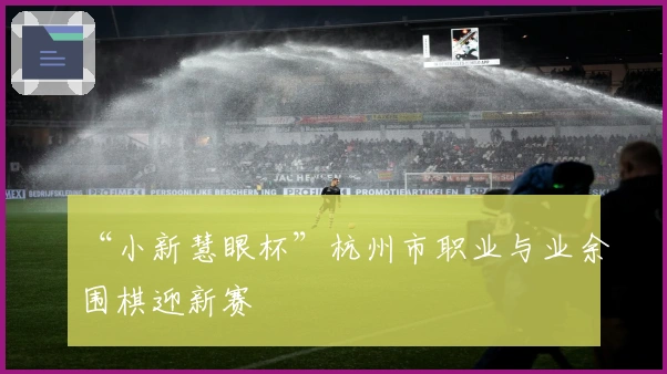 “小新慧眼杯”杭州市职业与业余围棋迎新赛