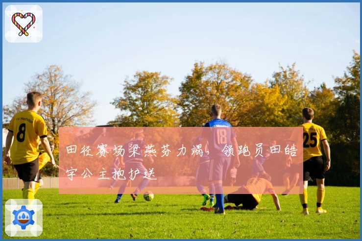 田径赛场梁燕芬力竭，领跑员田皓宇公主抱护送