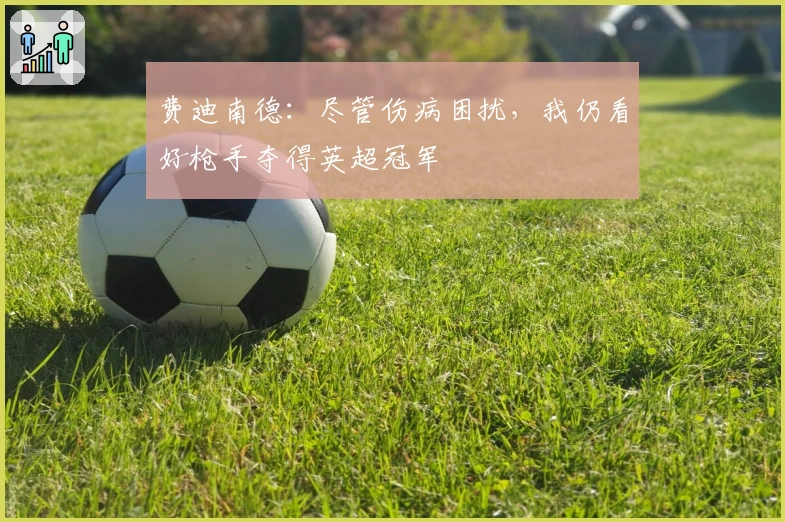 费迪南德：尽管伤病困扰，我仍看好枪手夺得英超冠军