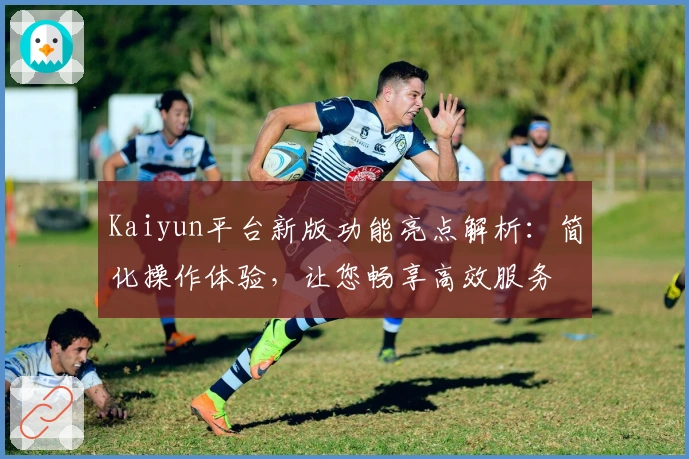 Kaiyun平台新版功能亮点解析：简化操作体验，让您畅享高效服务