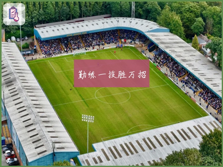 勤练一技胜万招